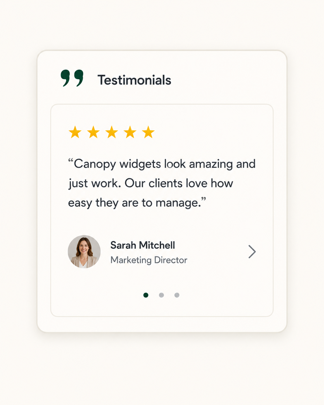 Testimonial Widget
